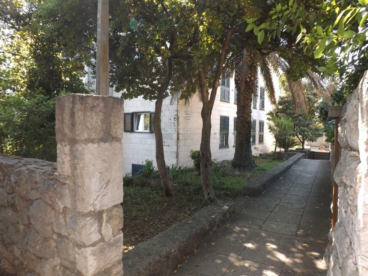 Apartamento La Mia