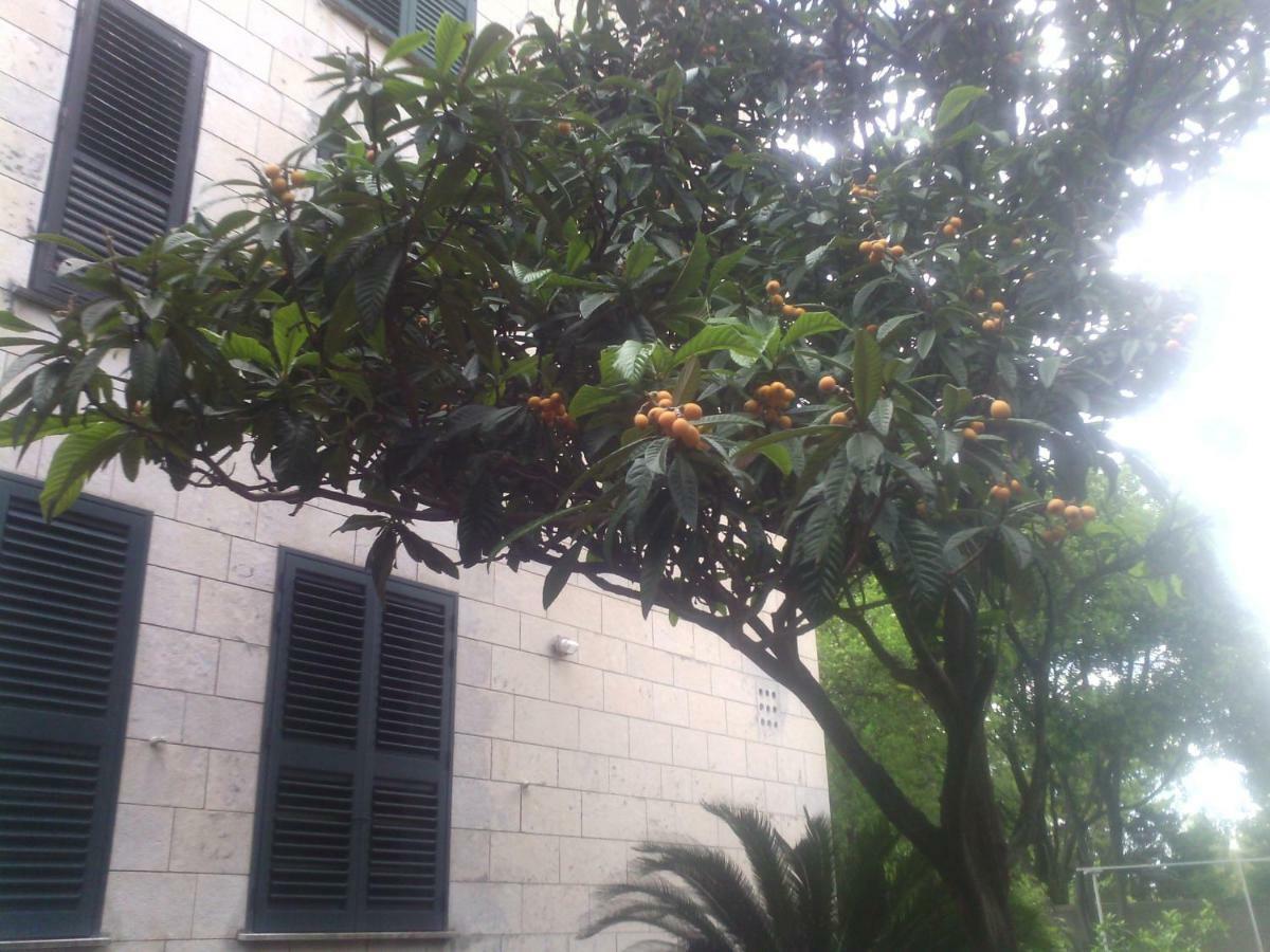 Apartamento La Mia